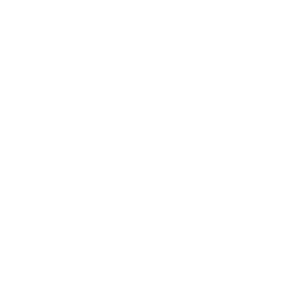 PTSA_NewLogo_Final_White